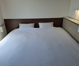 デラックスダブルルーム