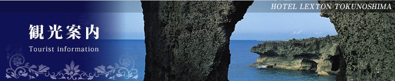 観光案内/Tourist Information