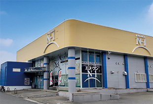 p[[N-1VX