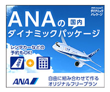 ANA ダイナミックパッケージ